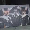 @turboroo