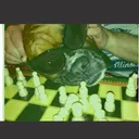 @picklefeet043