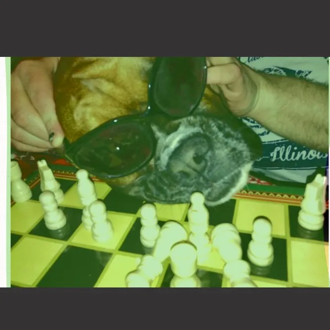 picklefeet043