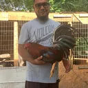 @felipepaniagua22