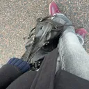 @tuvaaa22
