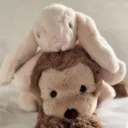@notmonz3fs