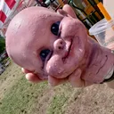 @frightowl
