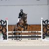 sachi_horses