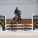 @sachi_horses