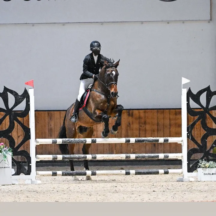 sachi_horses