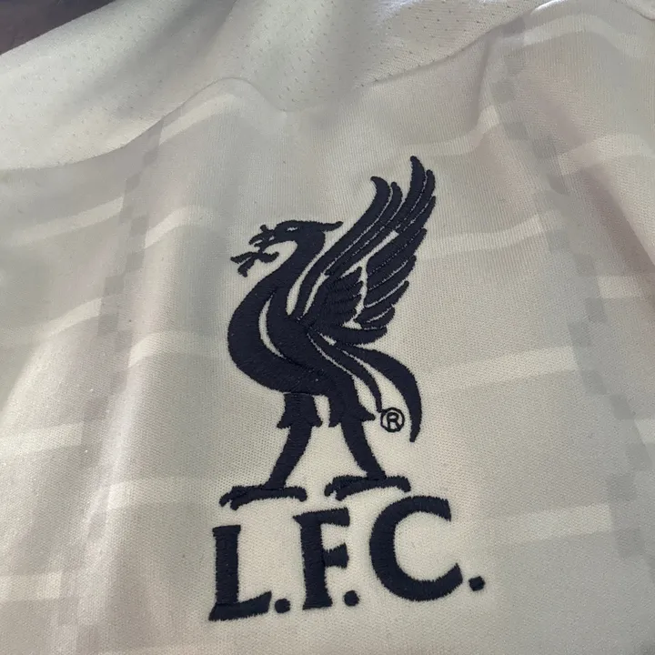 @mr.lfc.qdqfam