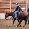 scdcuttinghorses