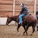 @scdcuttinghorses