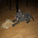 @jaegerstaffy