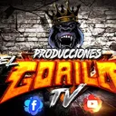 @produccioneselgorila