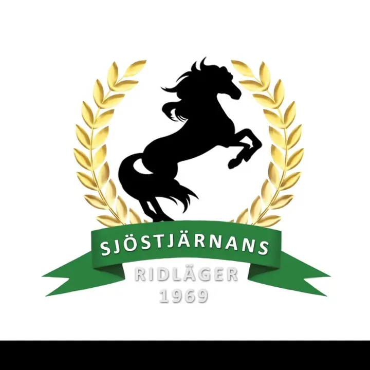 sjois20.23