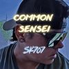 common_sensei707