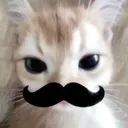 @shirmppie