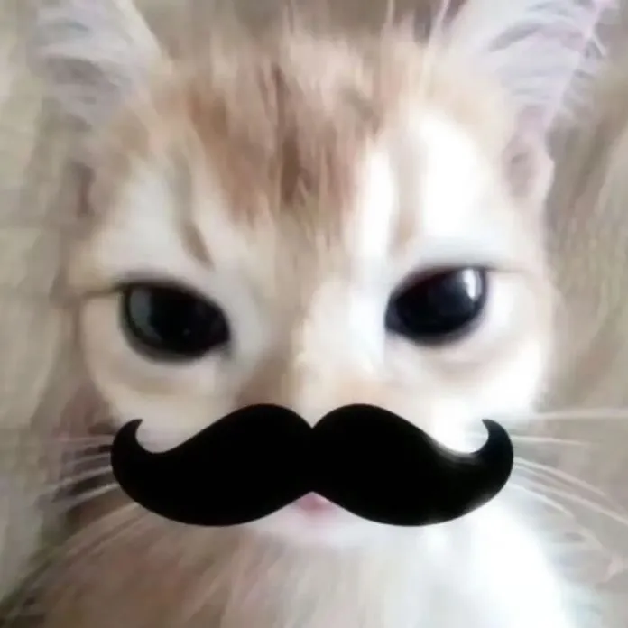 @shirmppie
