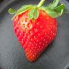strawberry.ashiii