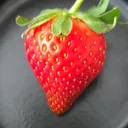 @strawberry.ashiii