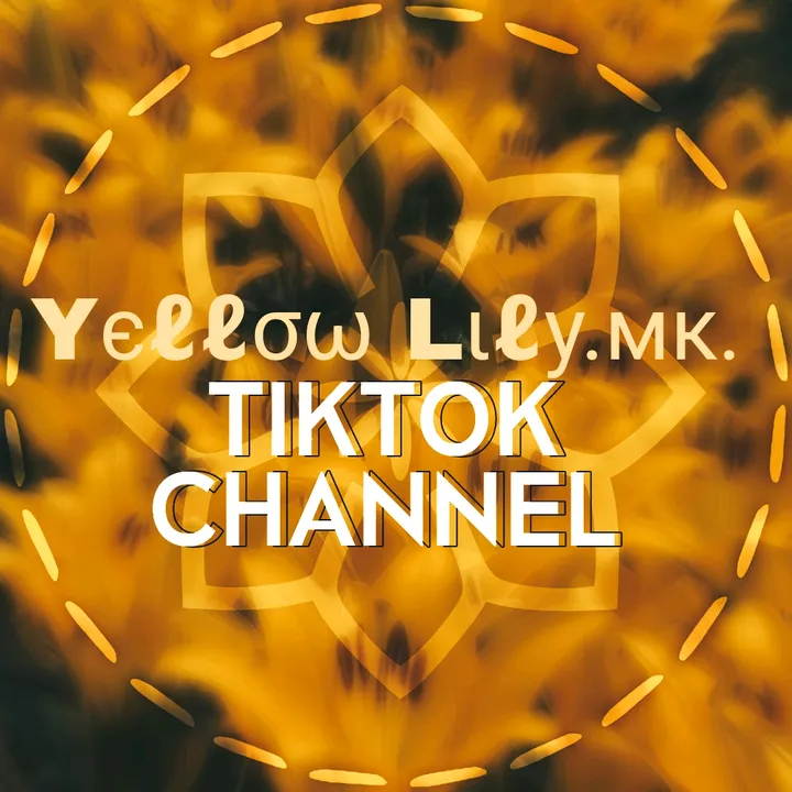 yellowlily.mk.flood