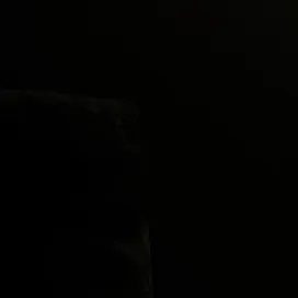 @nclhollie