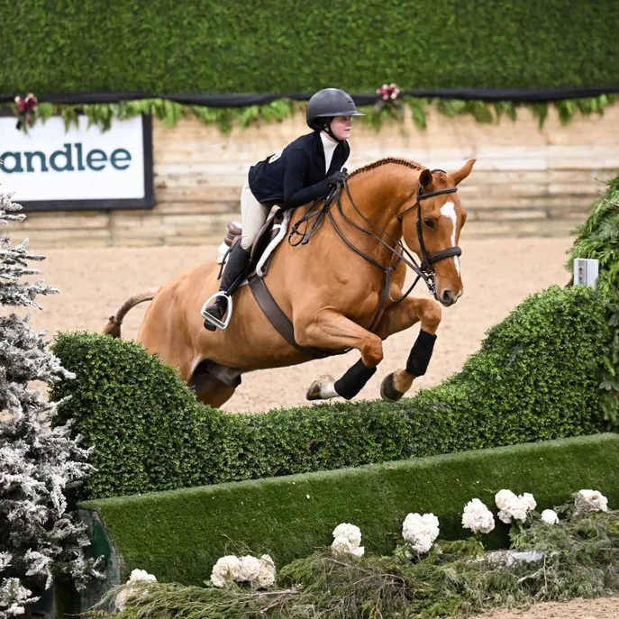 @eglequestrian