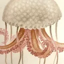@animalsandsea