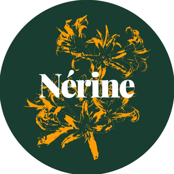 nerine_creative