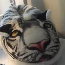 @userpepe.4