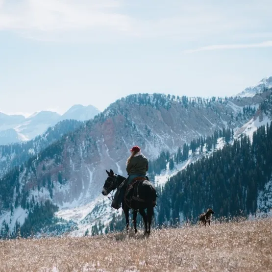 @wild.horsewoman