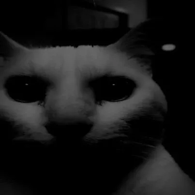 catdingaling