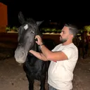 @waldl3alami1