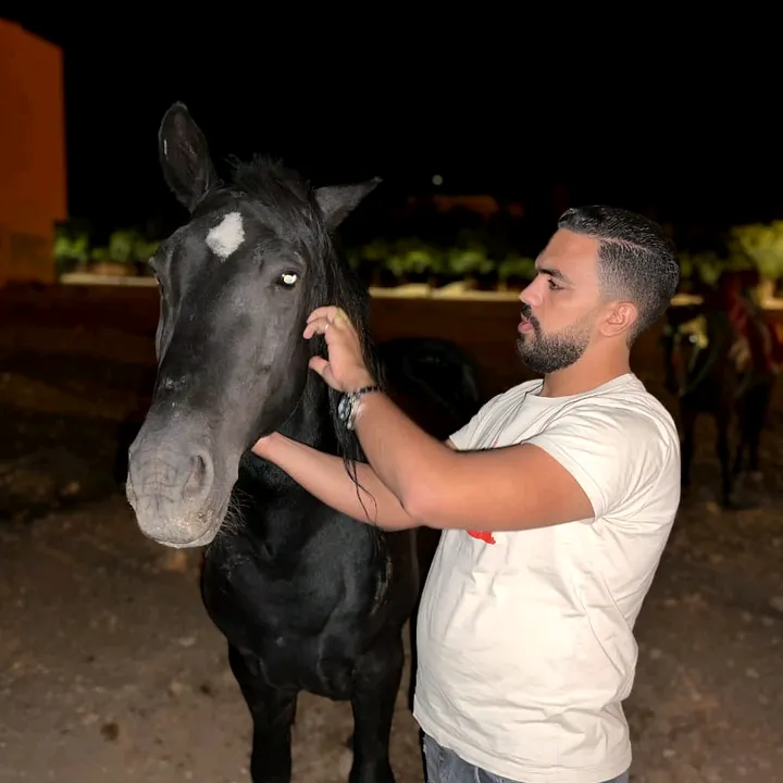 waldl3alami1