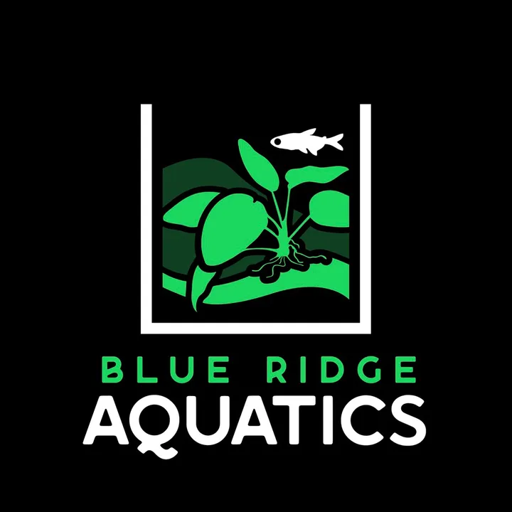 @blueridgeaquatics