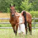 @taurusreins