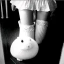 @fragiilebunni