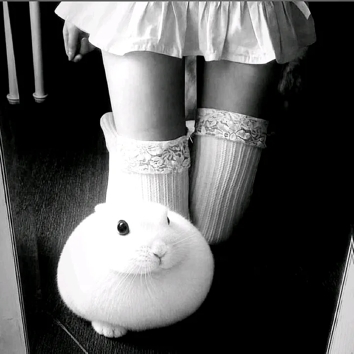 @fragiilebunni