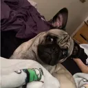 @user120211198