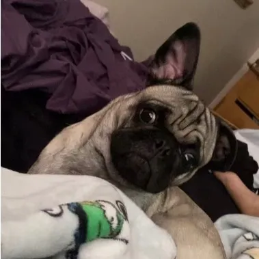 @user120211198