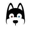 huskylove.racingteam