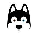 @huskylove.racingteam
