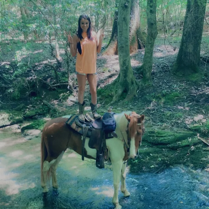 @horsegirl_720