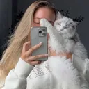 @macysnook