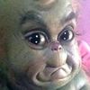 lil.ujiii