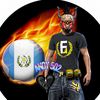 andy502ff