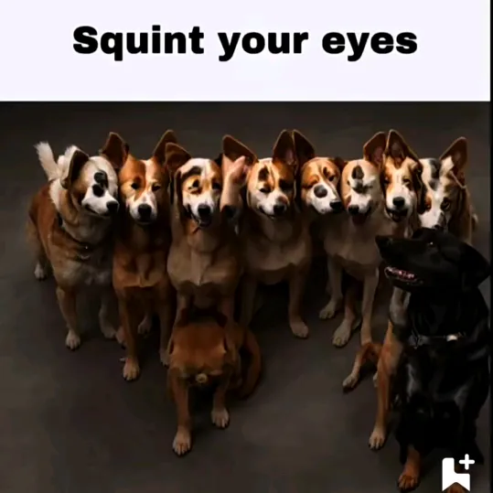 @lilproey