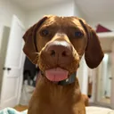 @leigh_and_rhubarb