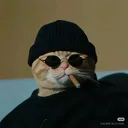 @noahtellsstories1