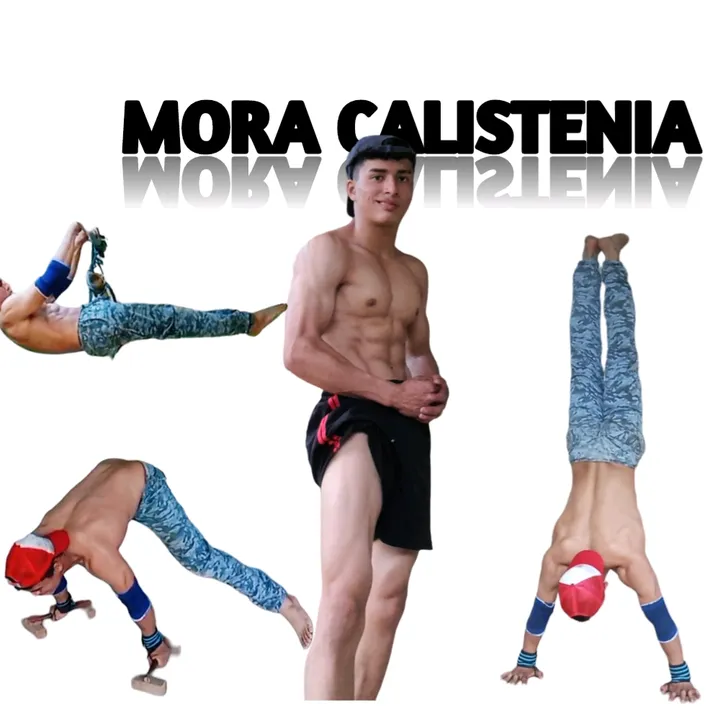 moracalistenia
