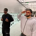 @loblobhoops