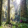 endangeredecosystems