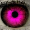holirare